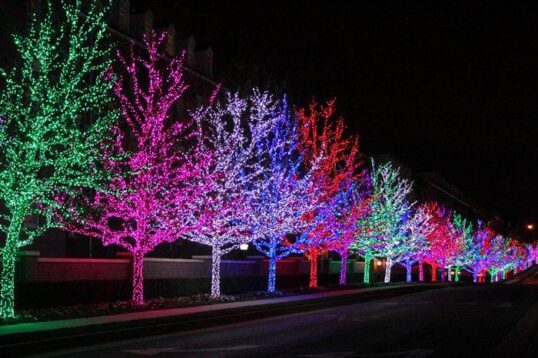 Prepare for the Holiday Season with LEDs