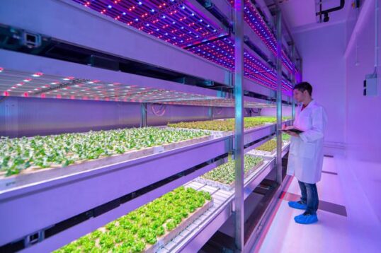 Avnet Opens LED Light Lab in Chandler, Arizona