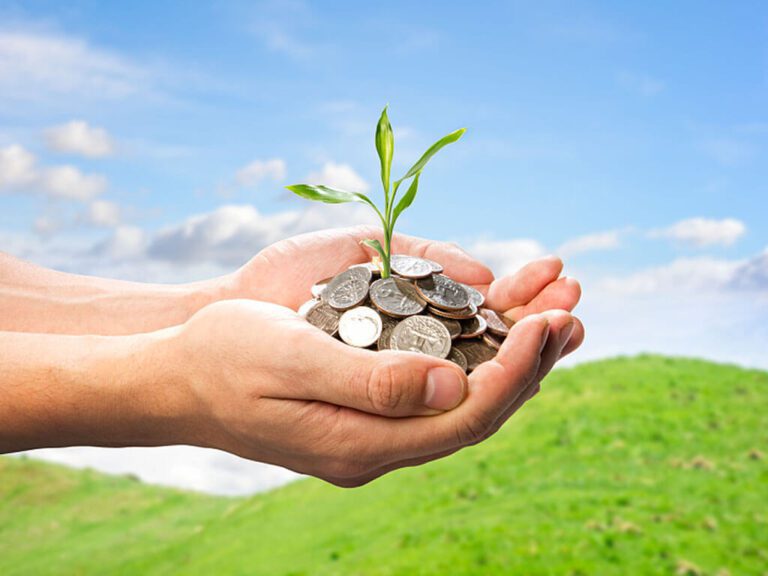 Energy Efficiency Incentives