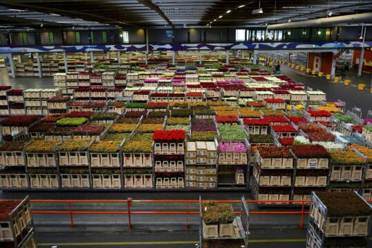 Keep Your Cold Storage Cold with LEDs