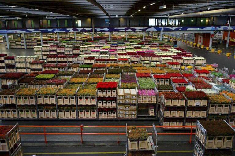 Keep Your Cold Storage Cold with LEDs